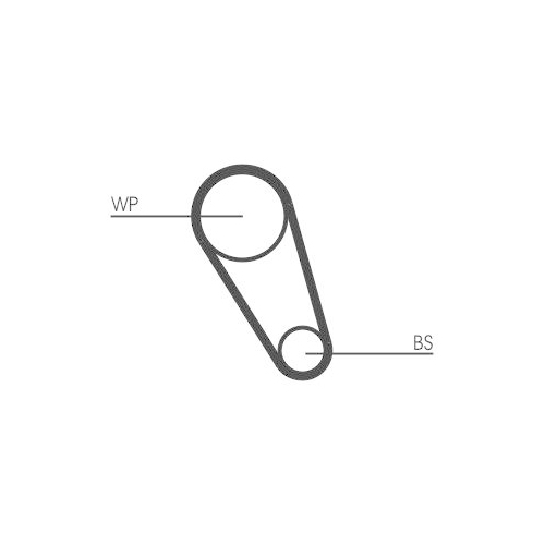 CONTINENTAL CTAM CT1167WP1PRO Wasserpumpe + Zahnriemensatz f&uuml;r AUDI SEAT SKODA