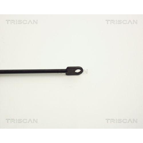 Gasfeder, Motorhaube TRISCAN 8710 1101 f&uuml;r BMW