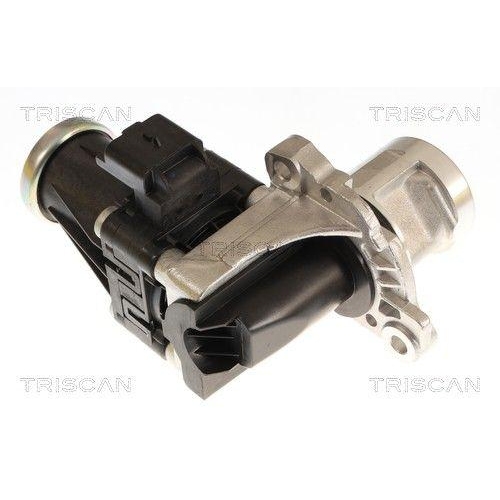 TRISCAN 8813 16074 AGR-Ventil f&uuml;r FORD