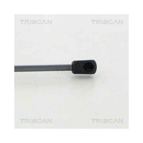 Gasfeder, Koffer-/Laderaum TRISCAN 8710 292017 f&uuml;r AUDI, hinten links