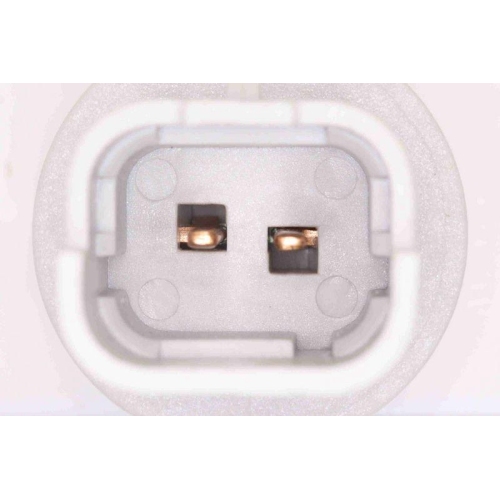 Kennzeichenleuchte VEMO V42-84-0004 Green Mobility Parts für CITROËN PEUGEOT