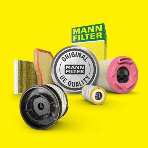 Luftfilter MANN-FILTER C 20 043 f&uuml;r FIAT