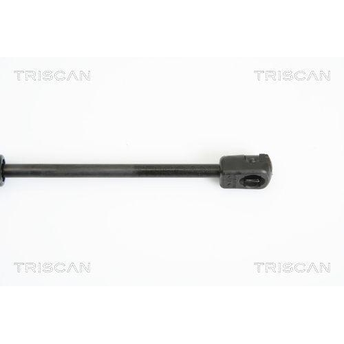 Gasfeder, Motorhaube TRISCAN 8710 11108 f&uuml;r BMW, vorne links, vorne rechts