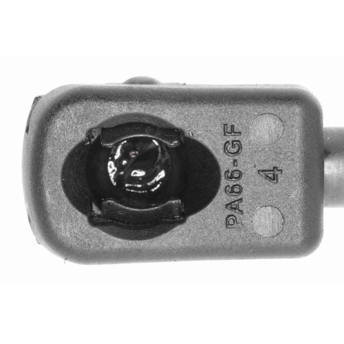 Gasfeder, Koffer-/Laderaum VAICO V24-0212 Original VAICO Qualit&auml;t f&uuml;r FIAT