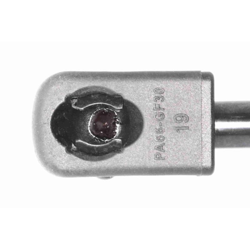 ACKOJA A32-0132 Gasfeder, Koffer-/Laderaum Original ACKOJA Qualit&auml;t f&uuml;r MAZDA