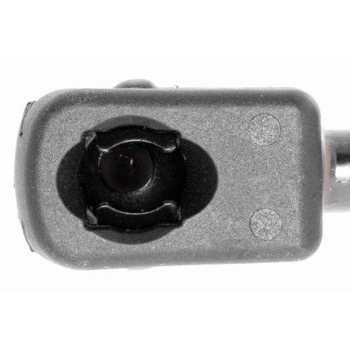 Gasfeder, Heckscheibe VAICO V20-1008 Original VAICO Qualit&auml;t f&uuml;r BMW