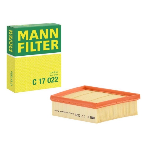 Luftfilter MANN-FILTER C 17 022 f&uuml;r FORD