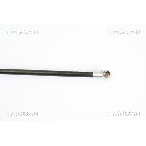 Gasfeder, Koffer-/Laderaum TRISCAN 8710 10208 f&uuml;r OPEL VAUXHALL, hinten links