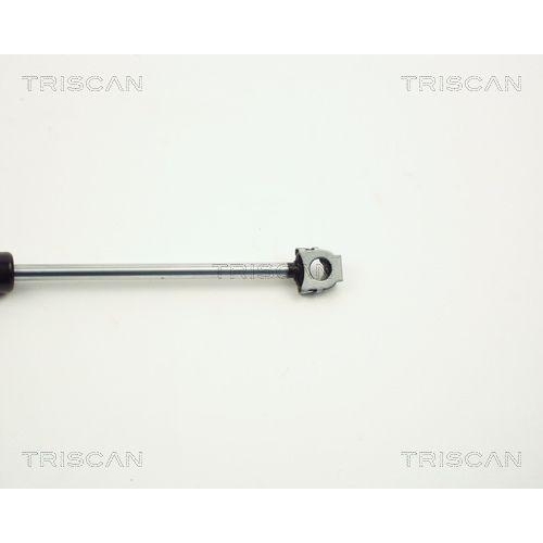 Gasfeder, Motorhaube TRISCAN 8710 11102 f&uuml;r BMW