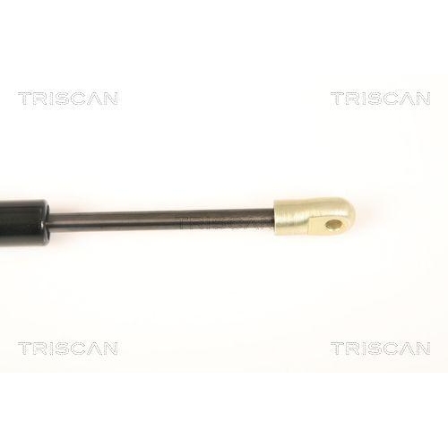 Gasfeder, Koffer-/Laderaum TRISCAN 8710 20201 f&uuml;r PORSCHE, Fahrzeugheck