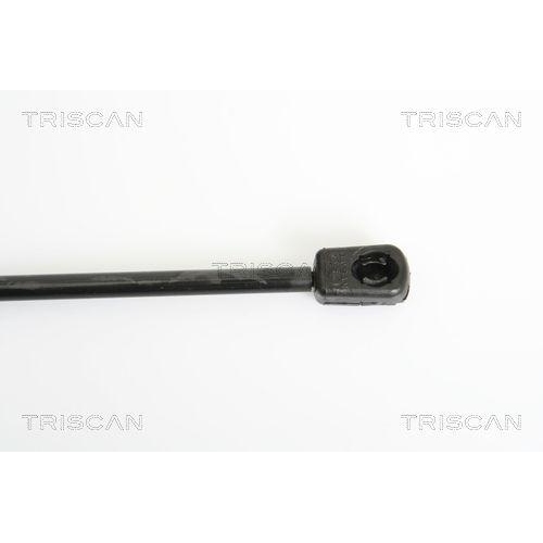 Gasfeder, Koffer-/Laderaum TRISCAN 8710 29245 f&uuml;r AUDI VW, hinten links