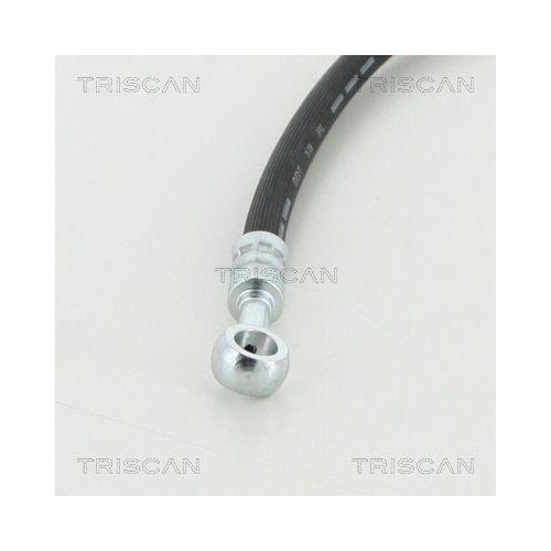 Bremsschlauch TRISCAN 8150 142102 f&uuml;r NISSAN, Hinterachse rechts