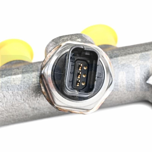 DELPHI 9144A221A-12B1 Verteilerrohr, Kraftstoff f&uuml;r RENAULT