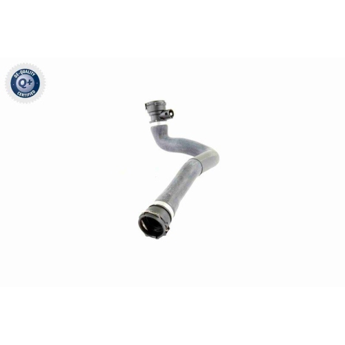 K&uuml;hlerschlauch VAICO V20-0873 Q+, Erstausr&uuml;sterqualit&auml;t f&uuml;r BMW, unten