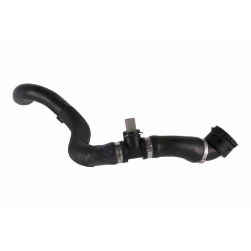 VAICO V10-000128 K&uuml;hlerschlauch Original VAICO Qualit&auml;t f&uuml;r VW, unten