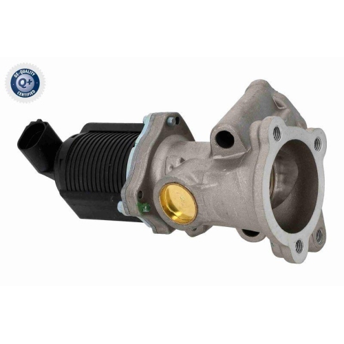 AGR-Ventil VEMO V24-63-0005-1 Q+, Erstausr&uuml;sterqualit&auml;t f&uuml;r ALFA ROMEO FIAT
