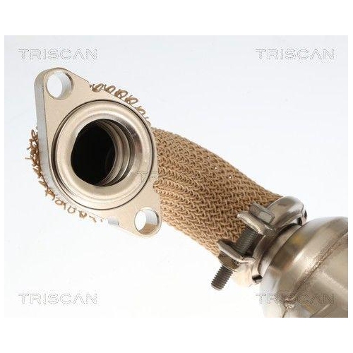 TRISCAN 8813 10059 K&uuml;hler, Abgasr&uuml;ckf&uuml;hrung f&uuml;r ALFA ROMEO FIAT OPEL SAAB