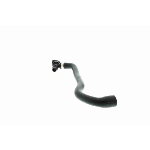 K&uuml;hlerschlauch VAICO V20-0882 Q+, Erstausr&uuml;sterqualit&auml;t f&uuml;r BMW, rechts unten