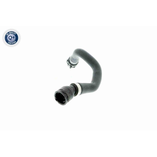 K&uuml;hlerschlauch VAICO V20-0884 Q+, Erstausr&uuml;sterqualit&auml;t f&uuml;r BMW