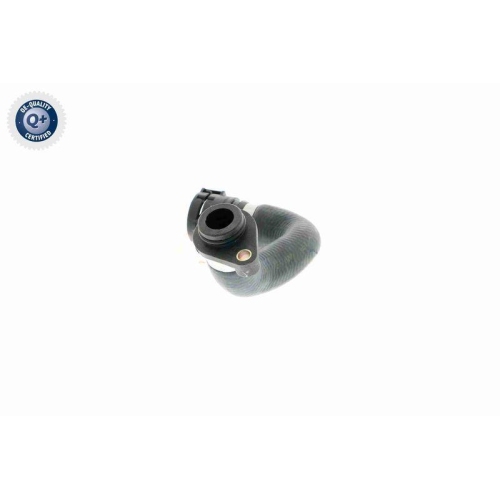 K&uuml;hlerschlauch VAICO V20-0887 Q+, Erstausr&uuml;sterqualit&auml;t f&uuml;r BMW