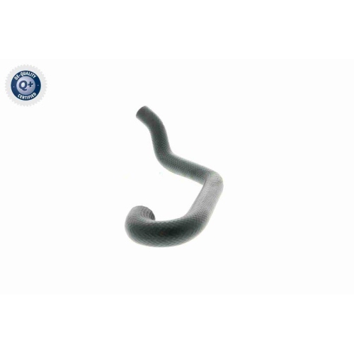 K&uuml;hlerschlauch VAICO V20-1701 Q+, Erstausr&uuml;sterqualit&auml;t f&uuml;r BMW, rechts