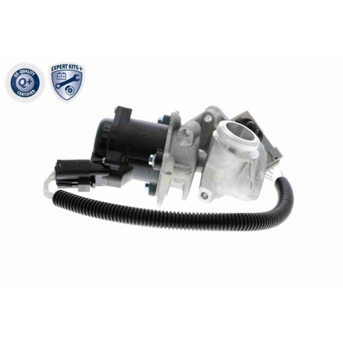 AGR-Ventil VEMO V25-63-0009 EXPERT KITS + f&uuml;r FORD VOLVO