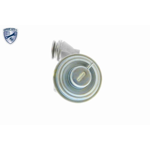 AGR-Ventil VEMO V25-63-0013 EXPERT KITS + f&uuml;r CITRO&Euml;N FORD MAZDA PEUGEOT SUZUKI