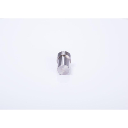 Einspritzd&uuml;se BOSCH 0 434 250 171 f&uuml;r CITRO&Euml;N FIAT PEUGEOT