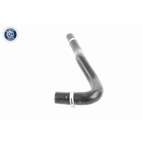K&uuml;hlerschlauch VAICO V25-1248 Q+, Erstausr&uuml;sterqualit&auml;t f&uuml;r FORD, unten