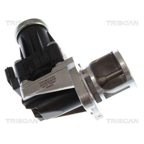 TRISCAN 8813 10060 AGR-Ventil f&uuml;r MERCEDES-BENZ NISSAN RENAULT DACIA INFINITI