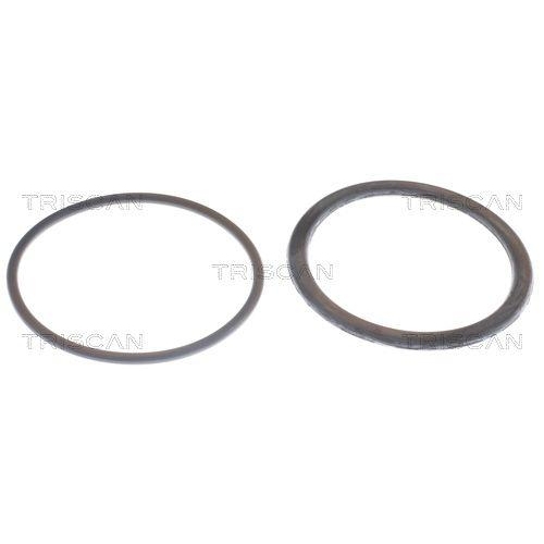 Thermostat, Kühlmittel TRISCAN 8620 9785 für BMW