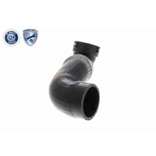Ladeluftschlauch VAICO V20-2605 EXPERT KITS + f&uuml;r BMW, links
