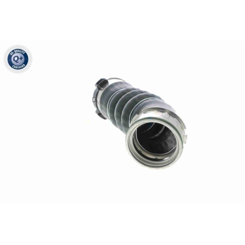 Ladeluftschlauch VAICO V20-2721 Q+, Erstausr&uuml;sterqualit&auml;t f&uuml;r BMW, rechts