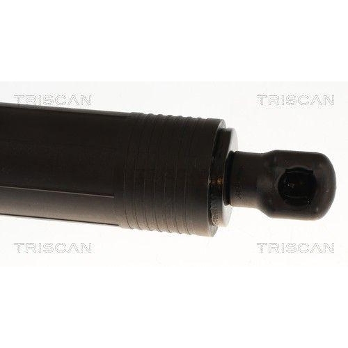 TRISCAN 8710 29346 Gasfeder, Koffer-/Laderaum f&uuml;r VW, links, rechts