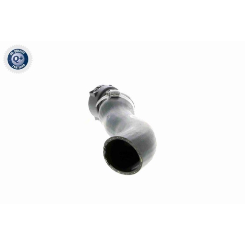 Ladeluftschlauch VAICO V20-1620 Q+, Erstausr&uuml;sterqualit&auml;t f&uuml;r BMW