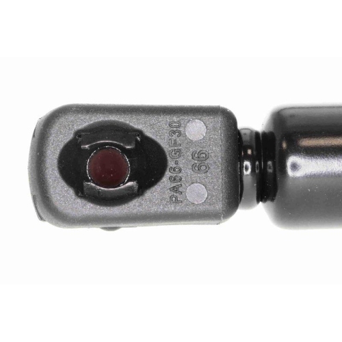 Gasfeder, Koffer-/Laderaum VAICO V10-1976 Original VAICO Qualität für SEAT SKODA
