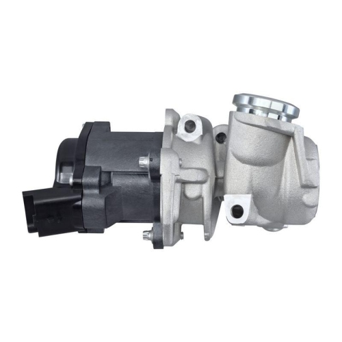 HELLA AGR-Ventil 6NU 010 171-111 f&uuml;r CITRO&Euml;N FORD PEUGEOT TOYOTA HITACHI