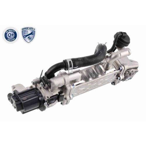 ACKOJA A52-63-0019 AGR-Modul EXPERT KITS + f&uuml;r HYUNDAI KIA