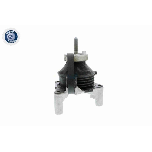 Lagerung, Motor VAICO V50-0031 Q+, Erstausr&uuml;sterqualit&auml;t f&uuml;r SAAB, hinten