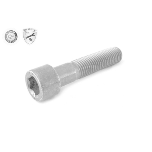 Gelenk, Gelenkwelle VAICO V30-18132 EXPERT KITS + für MERCEDES-BENZ, hinten