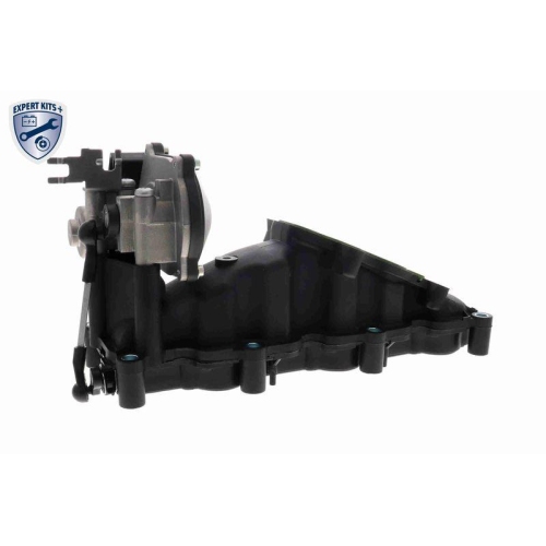 Saugrohrmodul VAICO V10-6483 EXPERT KITS + für SEAT SKODA VW VAG, rechts