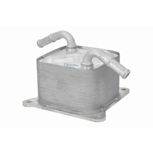 ACKOJA A38-60-0014 &Ouml;lk&uuml;hler, Motor&ouml;l Original ACKOJA Qualit&auml;t f&uuml;r NISSAN