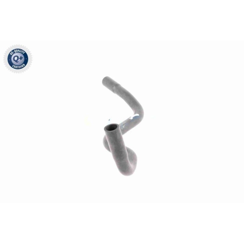 K&uuml;hlerschlauch VAICO V10-4769 Q+, Erstausr&uuml;sterqualit&auml;t f&uuml;r SEAT SKODA VW VAG