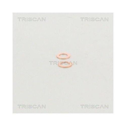 Bremsschlauch TRISCAN 8150 29132 f&uuml;r AUDI SEAT SKODA VW, Vorderachse