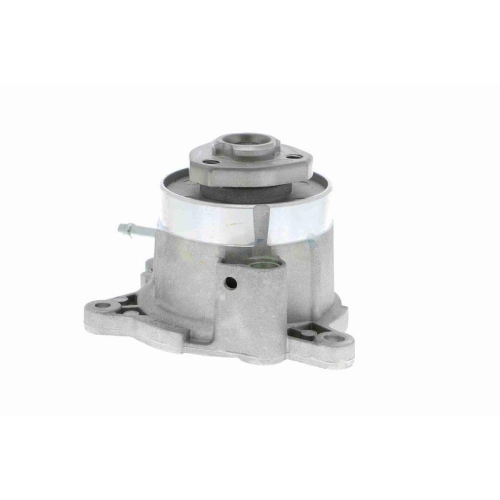 Wasserpumpe, Motork&uuml;hlung VAICO V10-50081 Original VAICO Qualit&auml;t f&uuml;r AUDI SEAT