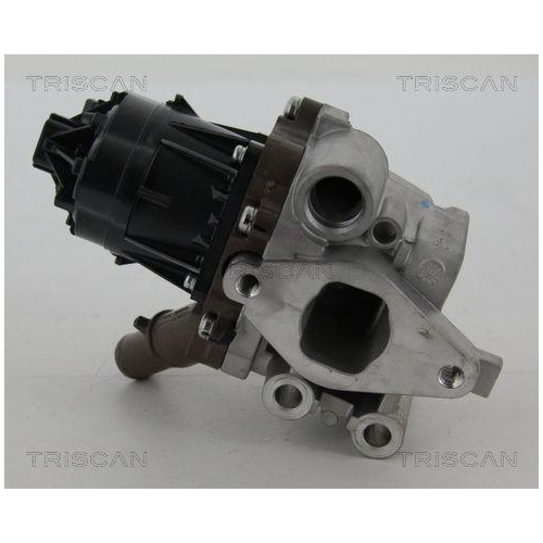 AGR-Ventil TRISCAN 8813 15207 f&uuml;r FIAT IVECO