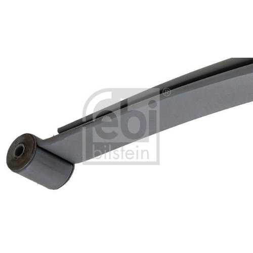 Federnpaket FEBI BILSTEIN 185508 f&uuml;r CITRO&Euml;N FIAT PEUGEOT, Hinterachse links