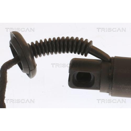 Gasfeder, Koffer-/Laderaum TRISCAN 8710 23310 f&uuml;r MERCEDES-BENZ, hinten rechts