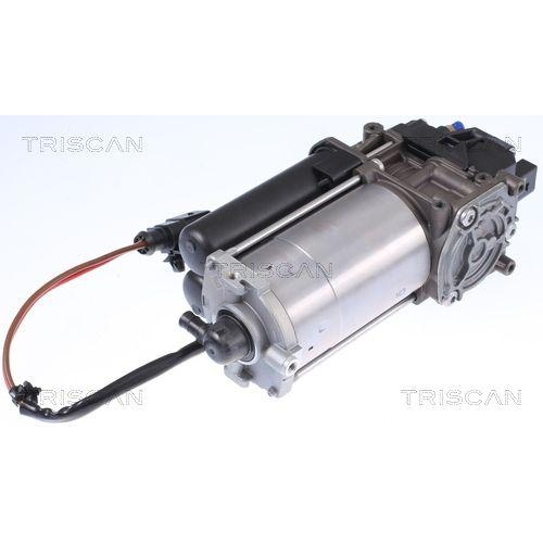 Kompressor, Druckluftanlage TRISCAN 8725 81101 für TESLA