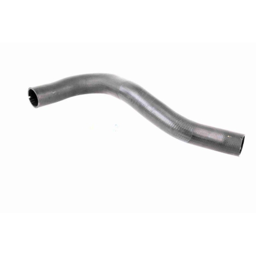 Ladeluftschlauch VAICO V42-0610 Q+, Erstausrüsterqualität für FIAT PEUGEOT